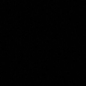 Meet your Posher, Sammy